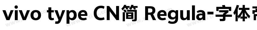 vivo type CN简 Regula字体转换